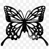 蝴蝶-空若网 蝴蝶-空若网