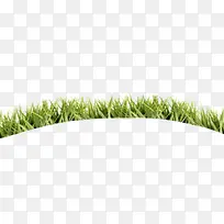 С��-������