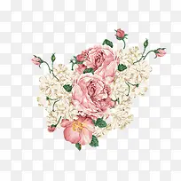 手绘牡丹花花朵装饰-空若网 手绘牡丹花花朵装饰-空若网