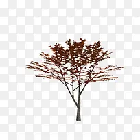 树-空若网 树-空若网