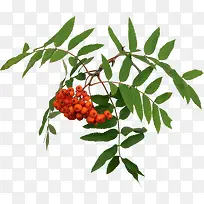 ��ʵ-������