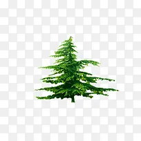 ��-������