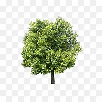 ��-������