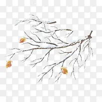 �ֻ�ѩ֦��֦��Ҷ-������