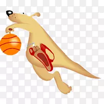 动画袋鼠剪贴画-猕猴桃-空若网 动画袋鼠剪贴画-猕猴桃-空若网