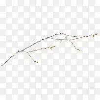 �һ���֦-������