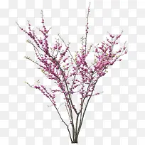 桃花树枝清新枝叶-空若网 桃花树枝清新枝叶-空若网