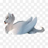 ����ͻ�䶯��-������