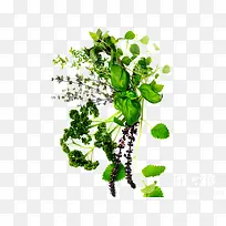 ��ѩ������ͭǮ��-������