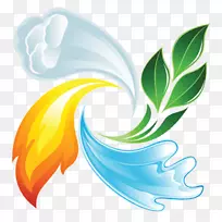 ƽ����ƻ�Ҷ-������