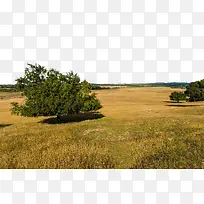 五角枫自然保护区-空若网 五角枫自然保护区-空若网