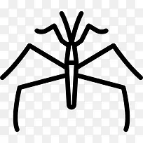 Pond Skater 图标-空若网 Pond Skater 图标-空若网