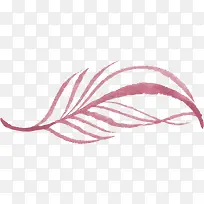 唯美森系水彩植物羽毛素材-空若网 唯美森系水彩植物羽毛素材-空若网