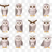 性格面孔可爱的猫头鹰-空若网 性格面孔可爱的猫头鹰-空若网