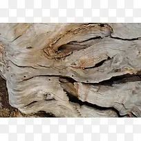 ���ɱ�������-������