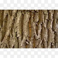 �������Ʊ���-������