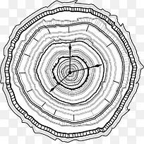 ����ӱ�-������