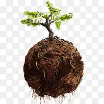 创意树-空若网 创意树-空若网