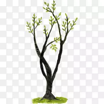 树枝-涂鸦-空若网 树枝-涂鸦-空若网