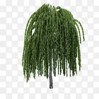 ������ֲ�������-������