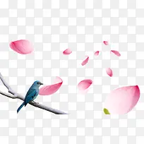 ������-������