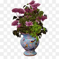 Ë®²ÊÅè¾°-¿ÕÈôÍø Ë®²ÊÅè¾°-¿ÕÈôÍø