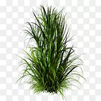 �ݱ�ֲ�������-������