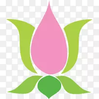 Ҷ������Ż���-��ˮ-������