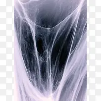 ϸ˿����-������