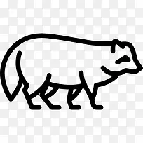 Racoon ͼ��-������