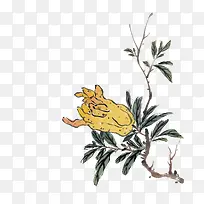 ��֦�ϵĻ�ɫ���ֹ�-������