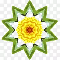 游戏Android组织系统-太阳花-空若网 游戏Android组织系统-太阳花-空若网