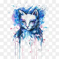 太空猫-空若网 太空猫-空若网