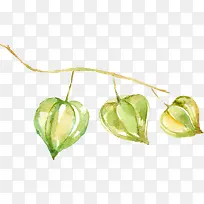 ÂÌɫˮ²Ê»²Ý|Ê÷Ò¶13-¿ÕÈôÍø ÂÌɫˮ²Ê»²Ý|Ê÷Ò¶13-¿ÕÈôÍø