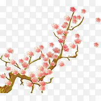 红梅树枝-空若网 红梅树枝-空若网