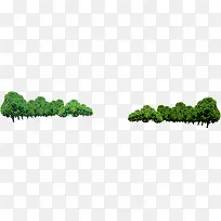 高清成群绿色摄影小树-空若网 高清成群绿色摄影小树-空若网