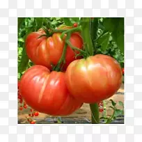 Belmonte Calabro种子传家宝番茄牛排番茄辣椒酱-空若网 Belmonte Calabro种子传家宝番茄牛排番茄辣椒酱-空若网