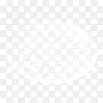 ��Ʊ�-������