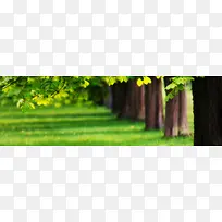 ����Ψ��������������-������