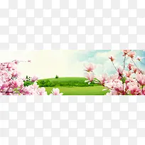 ΨÃÀÊ¢¿ªÓñÀ¼»¨º£±¨±³¾°-¿ÕÈôÍø ΨÃÀÊ¢¿ªÓñÀ¼»¨º£±¨±³¾°-¿ÕÈôÍø