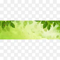 清爽大气绿色叶子海报背景-空若网 清爽大气绿色叶子海报背景-空若网