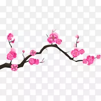 樱花枝杏-空若网 樱花枝杏-空若网