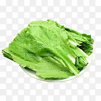 小白菜食材-空若网 小白菜食材-空若网