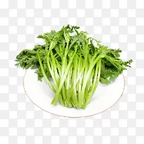 蒿子杆-空若网 蒿子杆-空若网