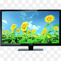 黄色向日葵花朵蓝天白云电视显示器-空若网 黄色向日葵花朵蓝天白云电视显示器-空若网