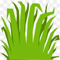 ����ӳ������������ά�����ͼ��.������-������