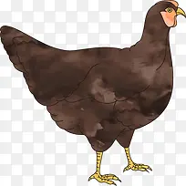 ¼¦Ë®²Ê»Ê¸Á¿-¿ÕÈôÍø ¼¦Ë®²Ê»Ê¸Á¿-¿ÕÈôÍø