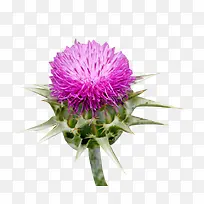 �������̼���ͼƬ�ز�-������