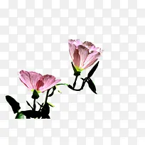 ���õ��¼���ͼƬ�ز�-������