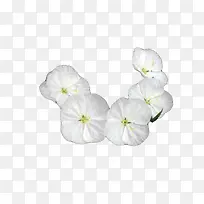 ���¼���ͼƬ�ز�-������